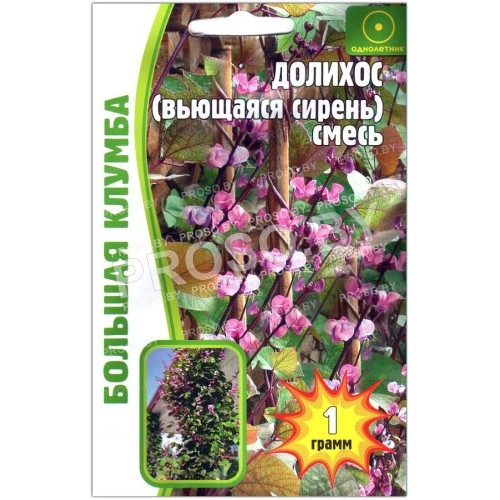 Долихос Вьющаяся сирень, смесь