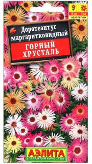 Доротеантус маргаритковидный Горный хрусталь