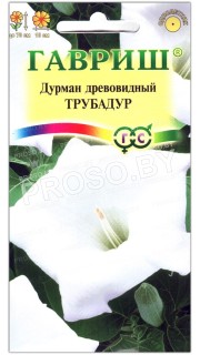 Дурман древовидный Трубадур