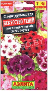 Флокс друммонда Искусство теней, смесь