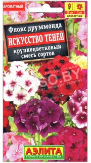 Флокс друммонда Искусство теней, смесь