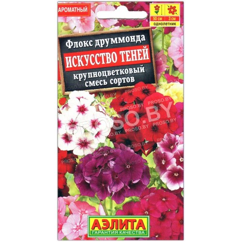 Флокс друммонда Искусство теней, смесь