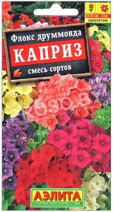 Флокс друммонда Каприз, смесь