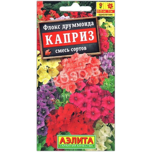 Флокс друммонда Каприз, смесь