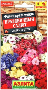 Флокс друммонда Праздничный салют, смесь