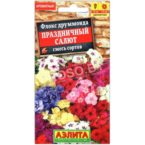Флокс друммонда Праздничный салют, смесь