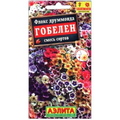 Флокс Гобелен