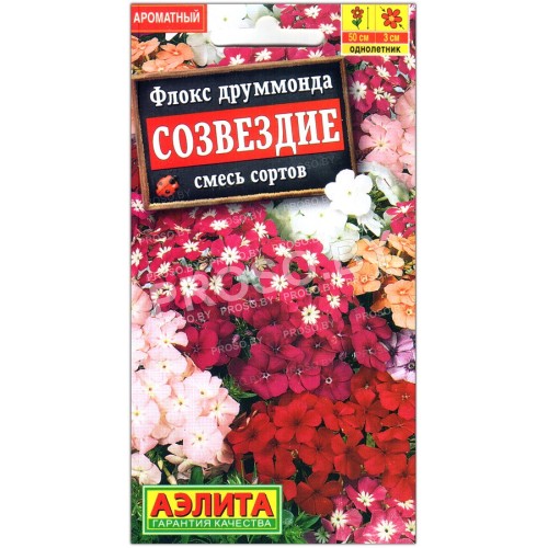 Флокс Созвездие, смесь-1