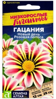 Гацания Новый день розовая полоса