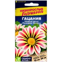 Гацания Новый день розовая полоса
