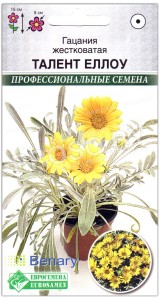Гацания жестковатая Талент еллоу