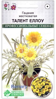 Гацания жестковатая Талент еллоу