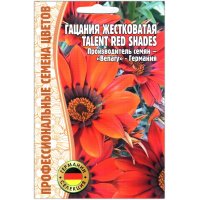 Гацания жестковатая Talent red shades
