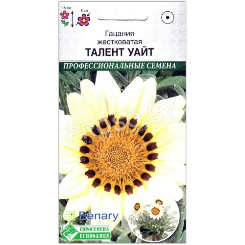 Гацания жестковатая Талент уайт