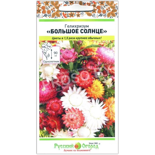 Гелихризум Большое солнце