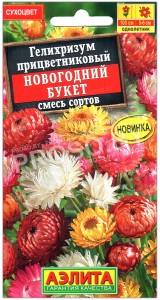 Гелихризум прицветниковый Новогодний букет, смесь