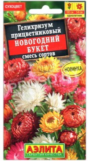 Гелихризум прицветниковый Новогодний букет, смесь