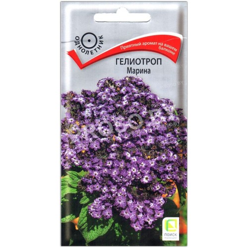 Гелиотроп Марина-2