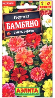 Георгина махровая Бамбино, смесь