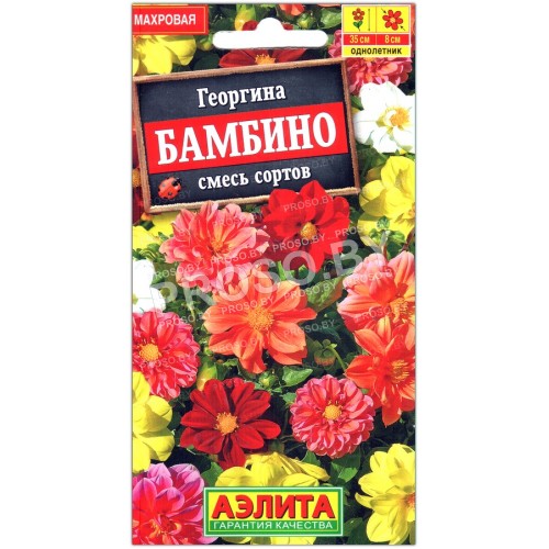 Георгина махровая Бамбино, смесь