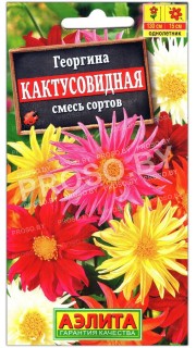 Георгина Кактусовидная, смесь