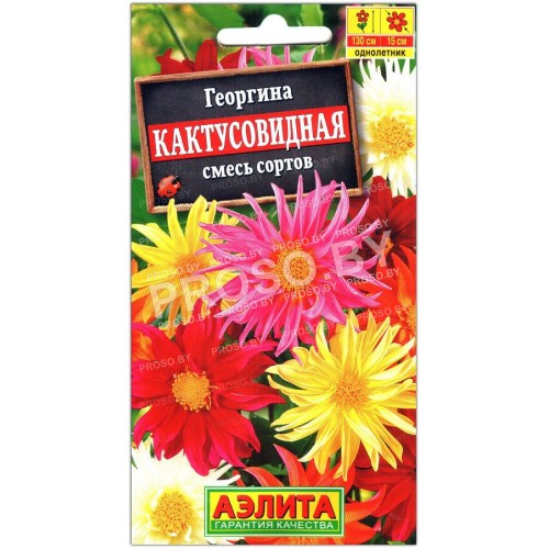 Георгина Кактусовидная, смесь