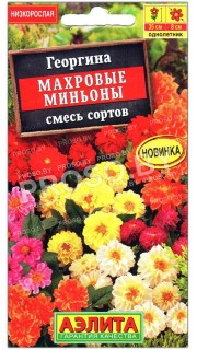 Георгина Махровые миньоны, смесь