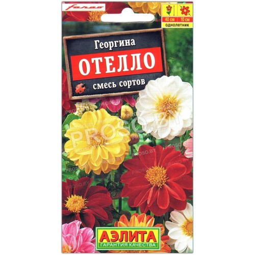 Георгина Отелло, смесь
