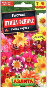 Георгина Птица феникс, смесь