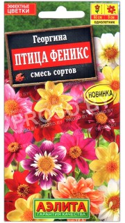 Георгина Птица феникс, смесь