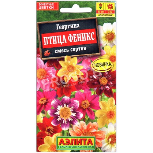 Георгина Птица феникс, смесь