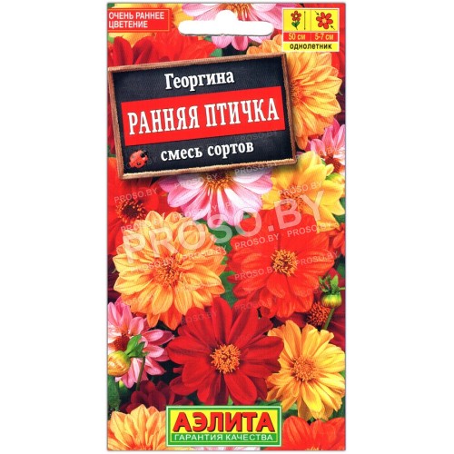 Георгина Ранняя птичка, смесь
