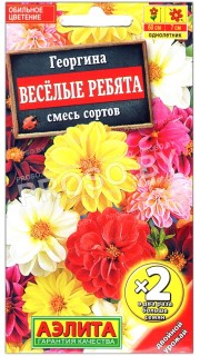 Георгина Веселые ребята, смесь