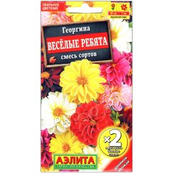 Георгина Веселые ребята, смесь