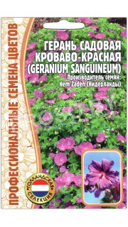 Герань садовая Кроваво-красная