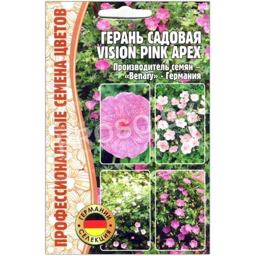 Герань садовая Vision pink apex