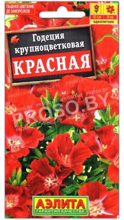 Годеция крупноцветковая Красная