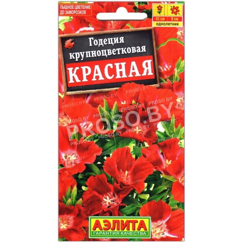 Годеция крупноцветковая Красная