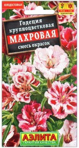 Годеция крупноцветковая Махровая, смесь
