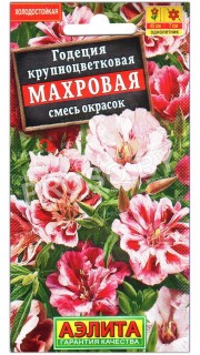 Годеция крупноцветковая Махровая, смесь