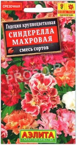 Годеция крупноцветковая Синдерелла махровая, смесь