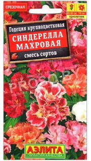 Годеция крупноцветковая Синдерелла махровая, смесь