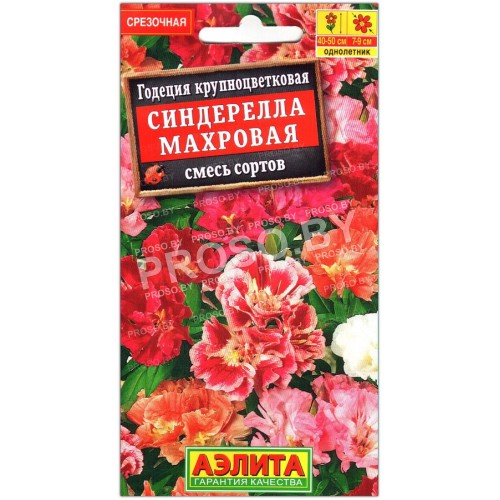 Годеция крупноцветковая Синдерелла махровая, смесь