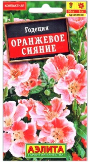 Годеция Оранжевое сияние