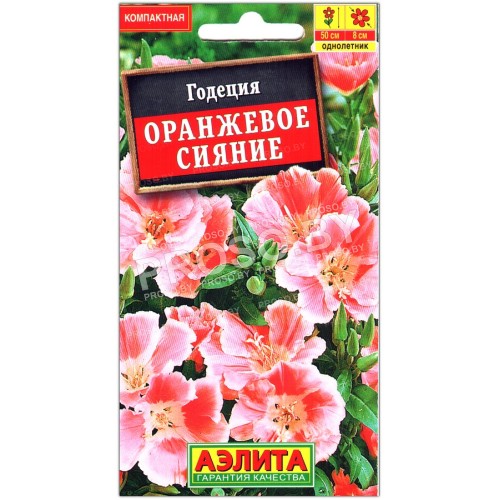 Годеция Оранжевое сияние