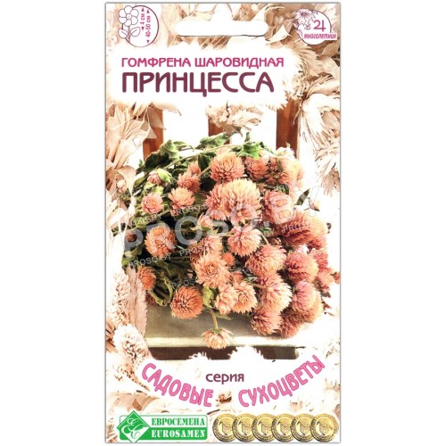 Гомфрена шаровидная Принцесса