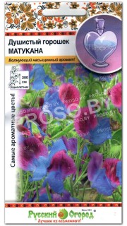 Душистый горошек Матукана