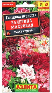 Гвоздика перистая Балерина махровая, смесь