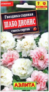 Гвоздика садовая Шабо дионис, смесь