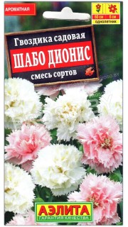 Гвоздика садовая Шабо дионис, смесь
